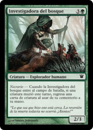 7d642938-3651-42f4-8a73-63bd2331e810 Woodland Sleuth