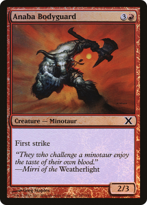 7f084952-991b-459f-b347-e7d2f2f04b31 Anaba Bodyguard