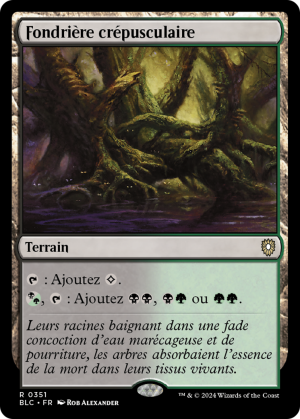 7f532208-1160-4dac-93d0-2afb171c1176 Twilight Mire