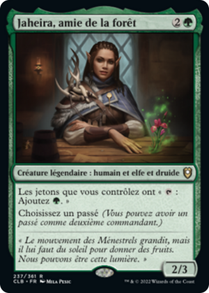 7f643e9a-2ea6-4224-8c6b-602d170105d3 Jaheira, Friend of the Forest