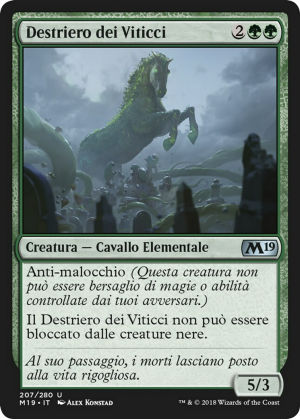 7fd00374-8690-4f4c-9064-5daca1851639 Vine Mare