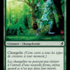 Woodland Changeling