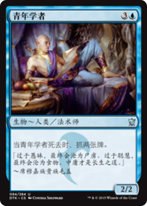 80732369-4a89-4592-9d2f-0d530c2e934e Youthful Scholar