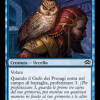 Augury Owl