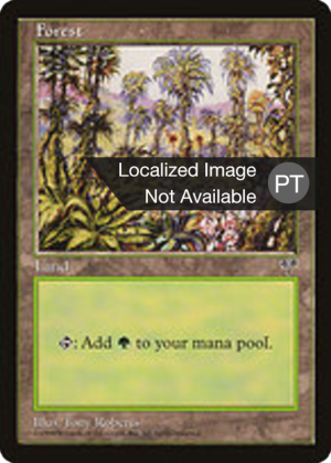 81919a3c-3f13-449c-82b2-c7cee0b98c10 Forest