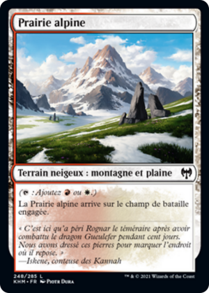 8197e75f-12ca-49a1-a012-609ffb246b3c Alpine Meadow