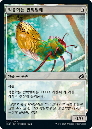 81f9a33f-f71e-4b3c-b73e-1957ecd5c3af Adaptive Shimmerer