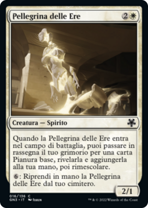 83929d06-6b91-4dac-91ad-86c1251c754a Pilgrim of the Ages