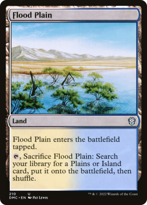83ccb446-3e8a-436e-99b5-a1b2d57ab72f Flood Plain