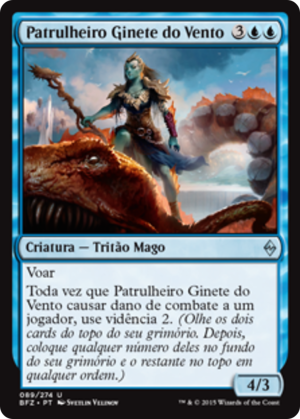 84aaea0f-57f5-4d35-b6c0-100e09d16fa0 Windrider Patrol