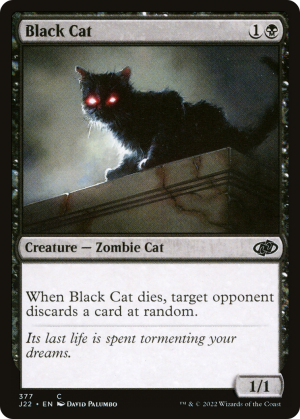 84ede129-83fc-42b7-8941-fa649d3329e5 Black Cat