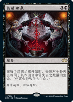 8544ea42-cd2b-4987-a685-ca09c237e963 Wound Reflection