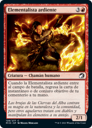 85648875-ff60-481c-83fa-48869dfeb7b9 Ardent Elementalist