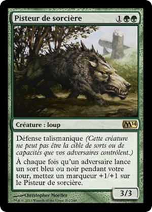 85f9a926-8c57-46d7-9c9b-323562b7b72f Witchstalker