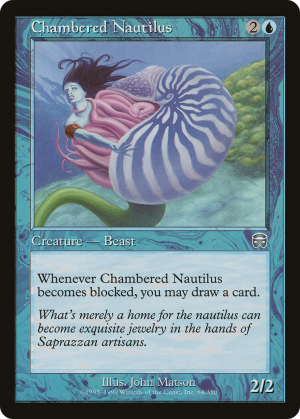 860c613d-d031-4c2a-922b-39f4eec04e18 Chambered Nautilus