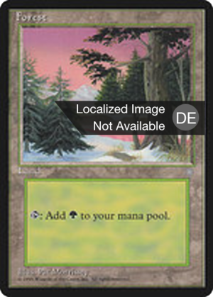 86623815-f778-4fc8-86ad-f46d49e0c003 Forest