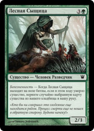 89e9ac78-b3f3-4a4b-8459-64305dd986a6 Woodland Sleuth