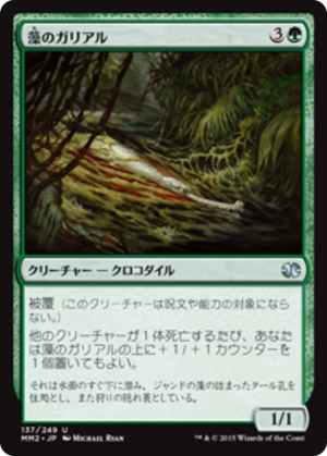 8a382175-1f5e-41a3-97d1-20a4d5cb6d8c Algae Gharial