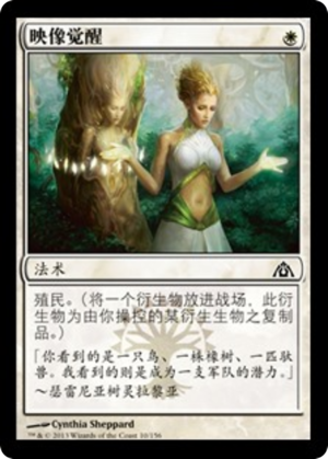 8a8aaf02-73f1-4b3b-b487-167d7b66b532 Wake the Reflections