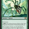 Silklash Spider