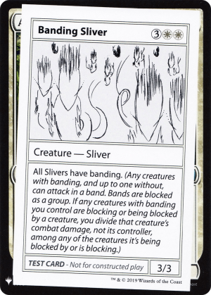 Banding Sliver