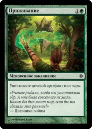 8b84b624-4cfb-4e37-81d4-0dd538f54bee Naturalize