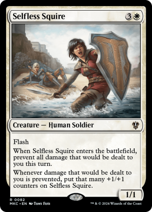 8b8f4489-3d07-4e57-9b94-afa52fa984f8 Selfless Squire