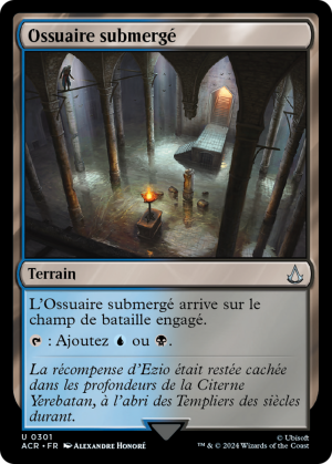 8b9966ea-0085-4ef0-bc2f-8118252a5687 Submerged Boneyard