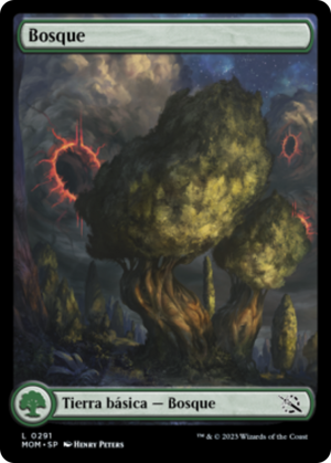 8c517fd0-d370-4b94-85e2-341deba6e0a3 Forest