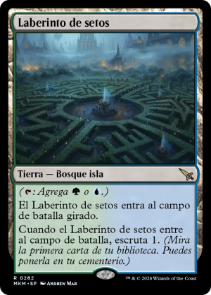 8cbeddde-4412-4d97-9489-fcd4ee19970f Hedge Maze