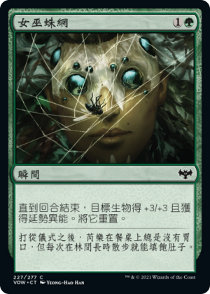 8d1570a7-be67-4e1f-a7d4-ef8490155772 Witch's Web