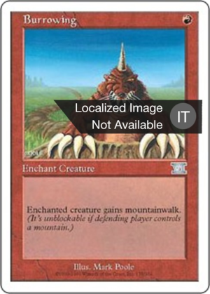 8d445536-4d70-49ab-b649-31ab0d202402 Burrowing