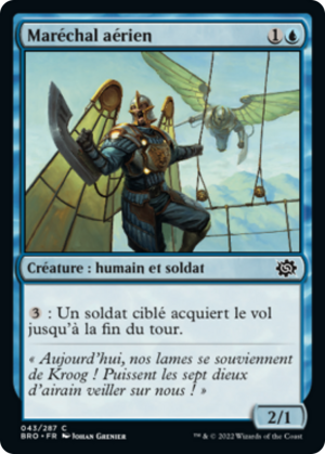 8f54365b-d843-4707-8127-8bb7319df3fe Air Marshal