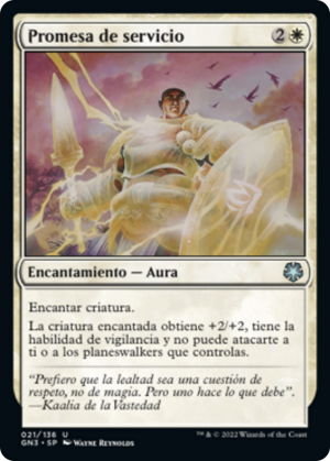 8fa6aea3-3be2-4af3-93b7-2fd674f300e2 Vow of Duty