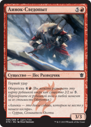 900b88bb-7d48-4a06-a868-ba2979cd2917 Ainok Tracker