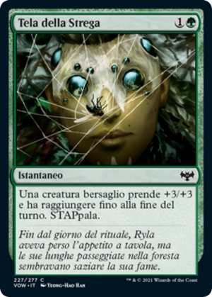 90d1aa79-78c6-4c34-b98a-cc28d6e5790a Witch's Web