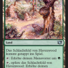 Havenwood Battleground