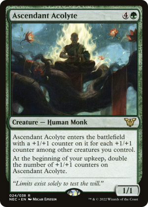 918a9e38-29ec-4279-8cf6-f01141497cab Ascendant Acolyte