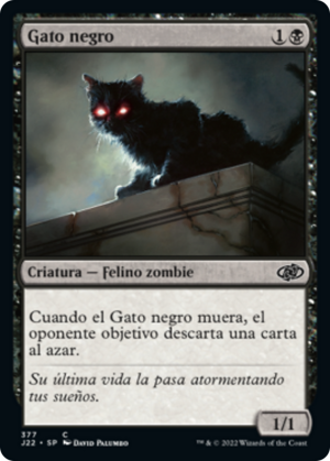 91fb53f8-fdf6-446d-b050-662efa0ff9a9 Black Cat