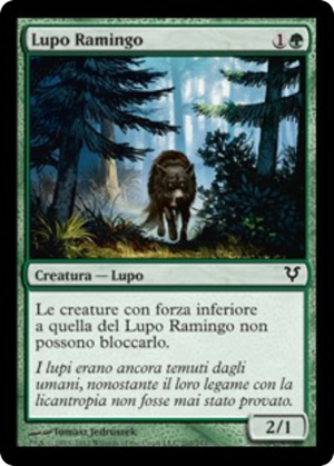 9247b480-546c-49d6-aa53-bcbe3dfaff86 Wandering Wolf