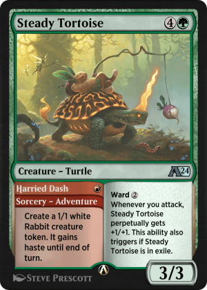 92d1c20b-e3c4-4dd1-bb41-10bebfe228f8 Steady Tortoise // Harried Dash