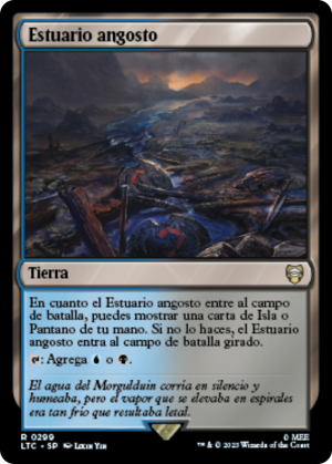 931255de-aa8e-4a52-9819-377301d0d62f Choked Estuary