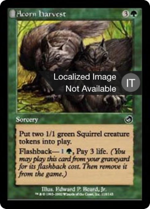 94a3bec8-896a-4d95-a959-3742cdd917bd Acorn Harvest