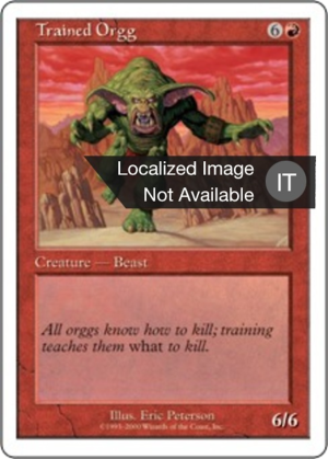 95644888-d5a0-4a57-9d28-a5220cbaf1b7 Trained Orgg