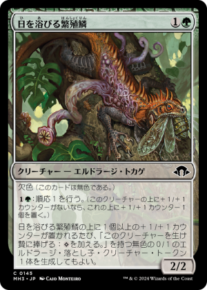 969a9c2c-a22f-4dee-b4b9-5d607950329f Basking Broodscale