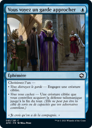 971fff95-799f-4510-a6ee-da4c9b77cef7 You See a Guard Approach