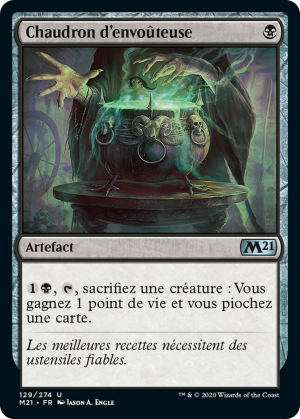 9787f15f-31ef-4e3b-a33f-8d424e917397 Witch's Cauldron