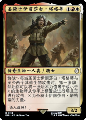 Paladin Elizabeth Taggerdy