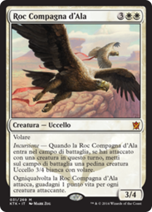 98bfaa0e-ebe0-4602-b574-29d57254334a Wingmate Roc