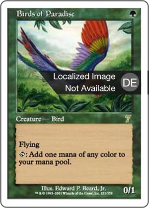 98c65950-1553-4486-a2bd-babe6f2895e6 Birds of Paradise